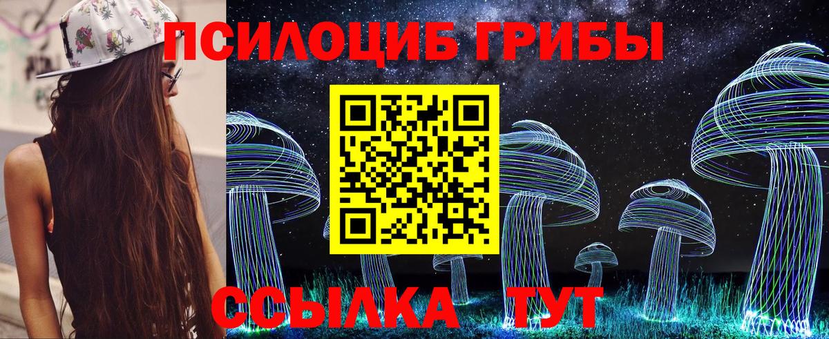 Михайловка  Галлюциногенные грибы мицелий  Вход с VPN  Псилоцибиновые грибы MAGIC MUSHROOMS 