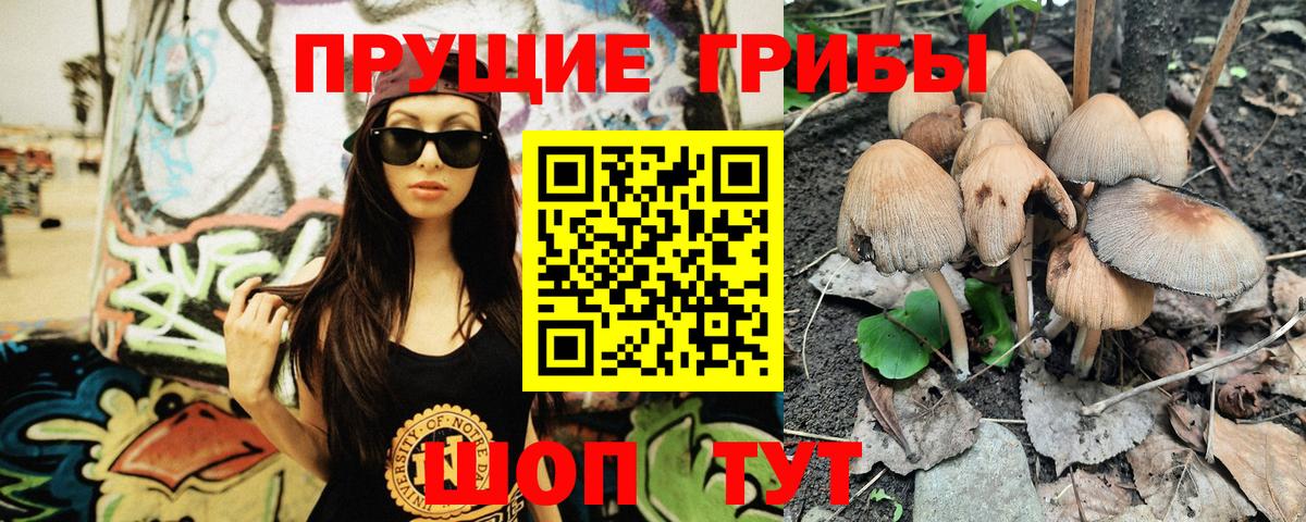 Псилоцибиновые грибы мухоморы Михайловка